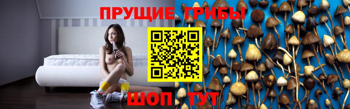 Елец  Галлюциногенные грибы Psilocybine cubensis  Вход с VPN 